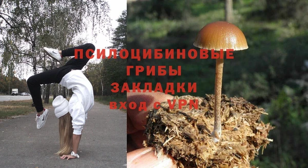 спайс Алексин