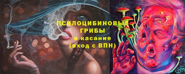 спайс Алексин