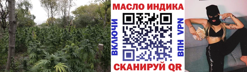 купить наркоту  Тайшет  Дистиллят ТГК THC oil 