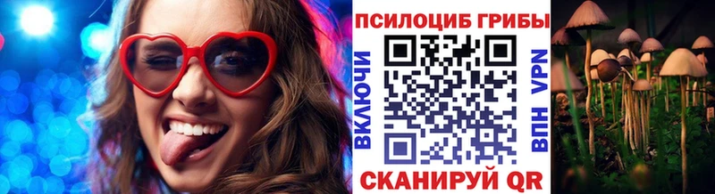 маркетплейс наркотические препараты  blacksprut как войти  Тайшет  Галлюциногенные грибы Magic Shrooms 
